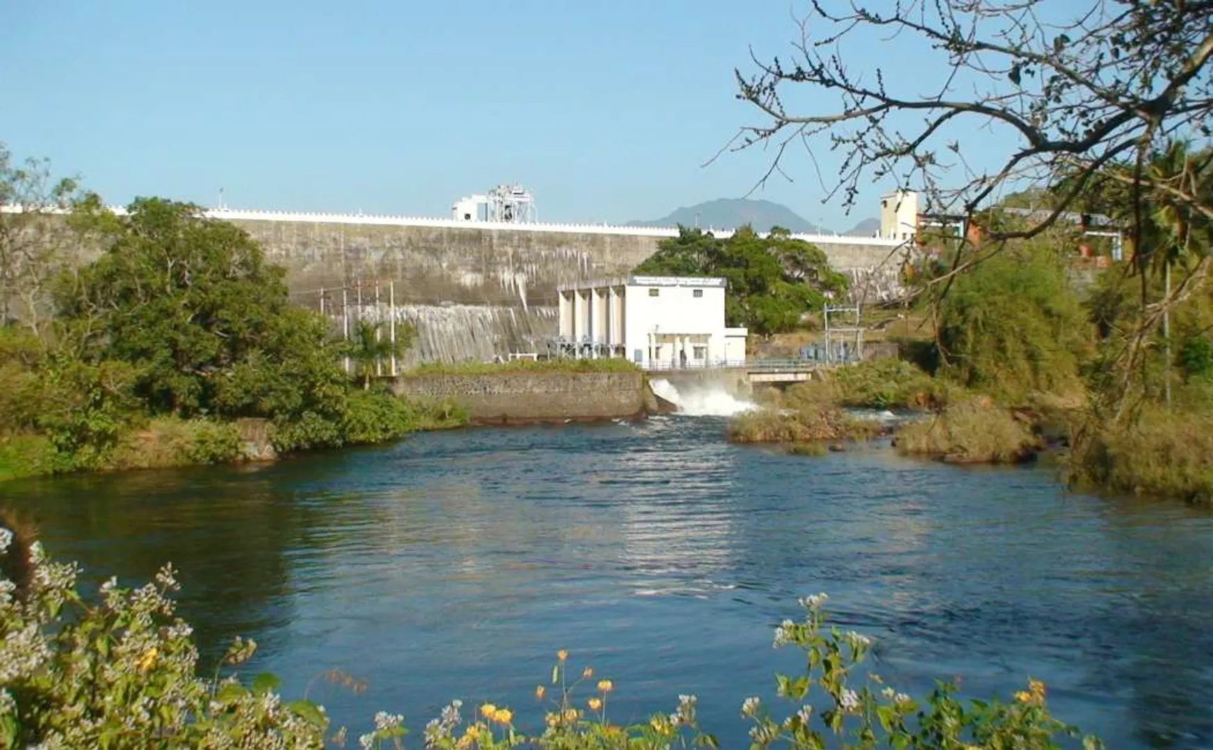 kanyakumari district perunchani and pechiparai dams water level raised 